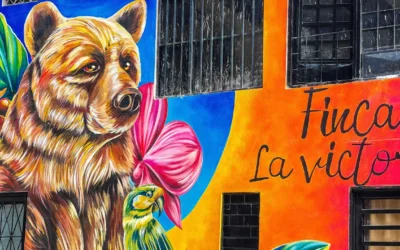 Tiago Castillo: El Muralista que Transforma Ibagué con Arte